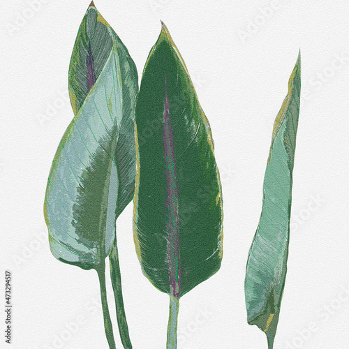 Cztery duże zielone liście na białym tle ilustracja