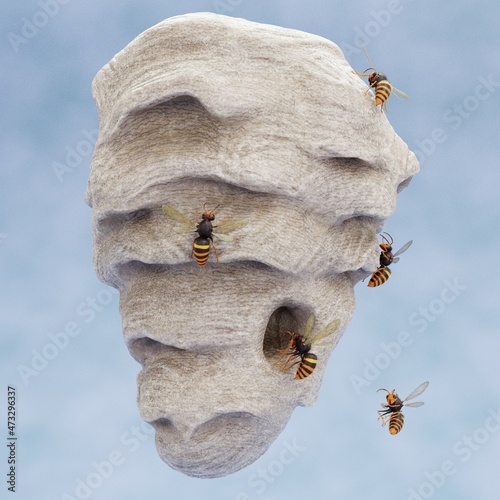 Realistic 3D Render of Hornets Nest