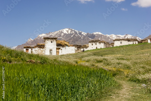 Old white traditional houses set in green fields with Himalayan mountains at the back in the village of Kargyak in Zanskar. photo