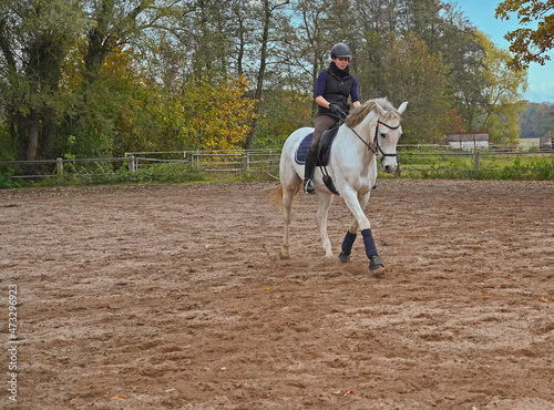 white horse  and rider training on a riding ground photo
