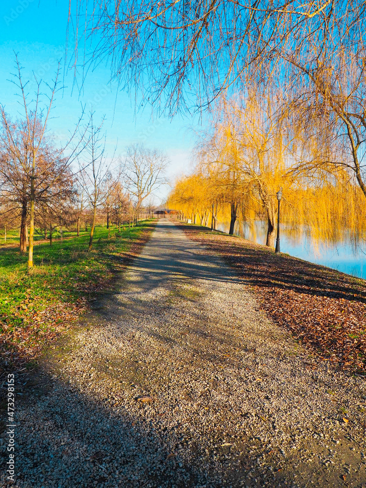 A path in an autumn park by the lake. Kabardino-Balkaria. North Caucasus.