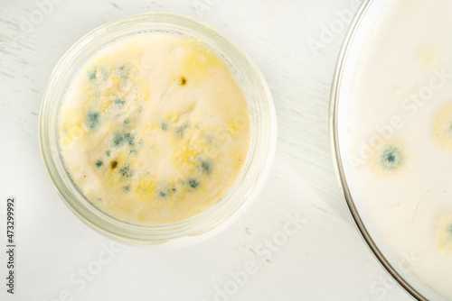 top view of closeup rotten moldy yogurt or yoghurt in jar on wooden table photo