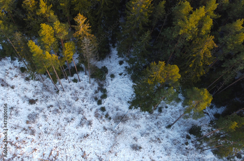 Aerial view of winter snowy landscape with forest and field