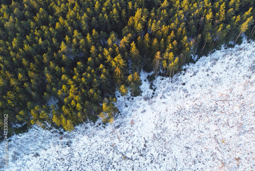 Aerial view of green forest texture with snow field © Payllik