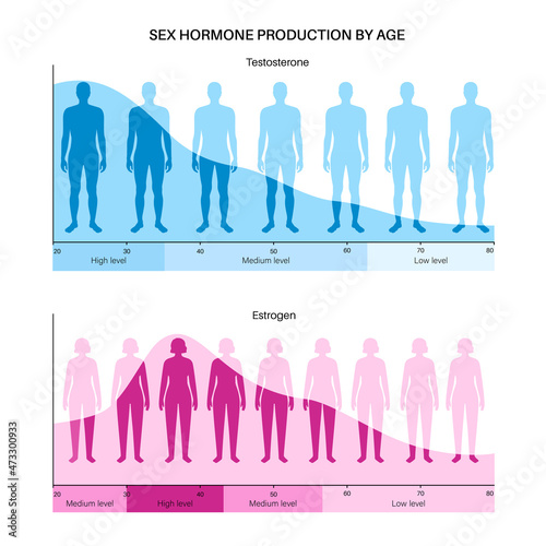 Testosterone estrogen level