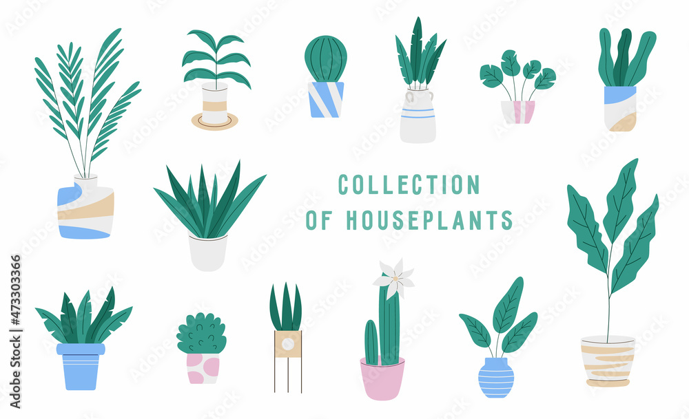 Collection of houseplants in pots in flat style Collection of houseplants in pots in flat style