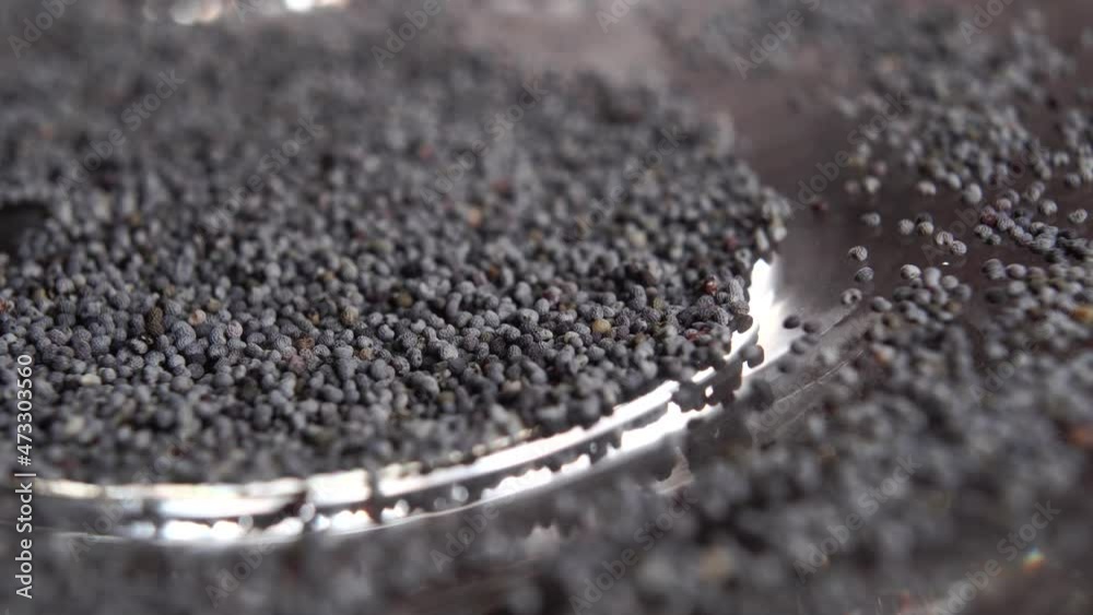 Dry poppy seeds on a shiny plate. Macro. Rotation Dry poppy seeds on a shiny plate. Macro. Rotation