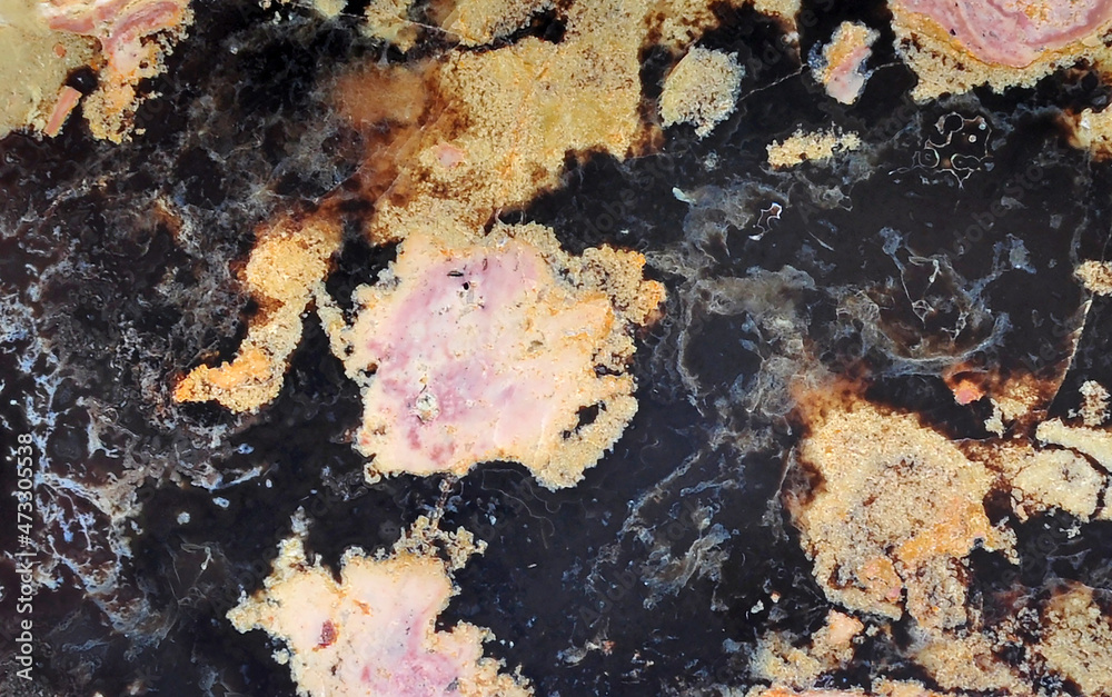 Agate with natural colors, polished cut Agate with natural colors, polished cut