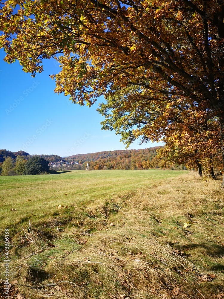 Fototapeta premium Herbst im Thüringer Wald, Unkerodaer Blick