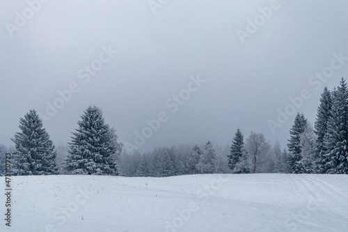 Winterliche Entdeckungstour durch den Thüringer Wald bei Steinbach-Hallenberg - Thüringen © Oliver Hlavaty