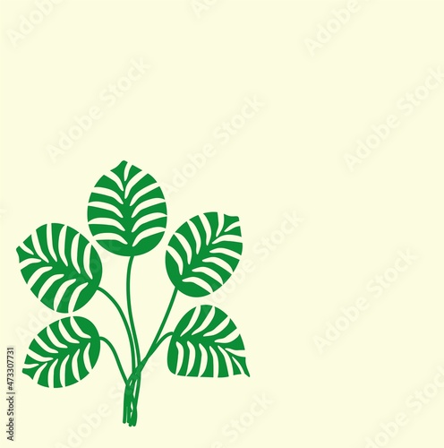 Tropical palm leaves, jungle leaves isolated on fashionable beige background