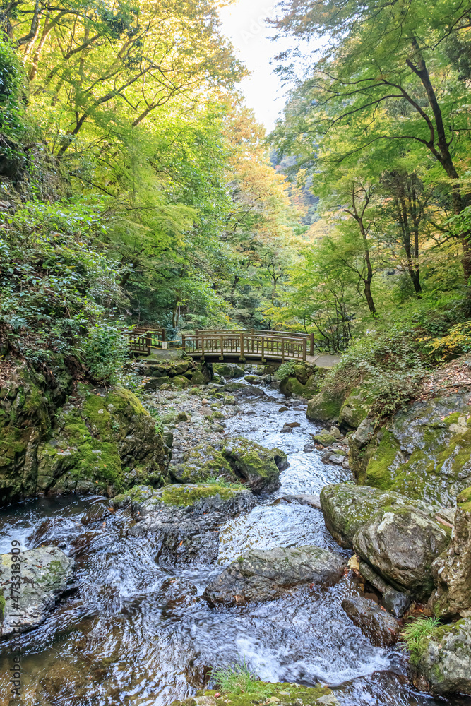 神庭の滝へと行く遊歩道と渓谷(秋)岡山県真庭市 Promenade and valley leading to Kanba Falls (Autumn). Okayama-ken Maniwa City
神庭の滝へと行く遊歩道と渓谷(秋)岡山県真庭市 Promenade and valley leading to Kanba Falls (Autumn). Okayama-ken Maniwa City