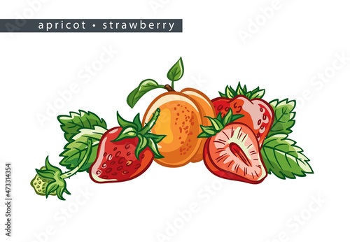 sketch_apricot_strawberry_three_whole_fruits_half_and_leaves
