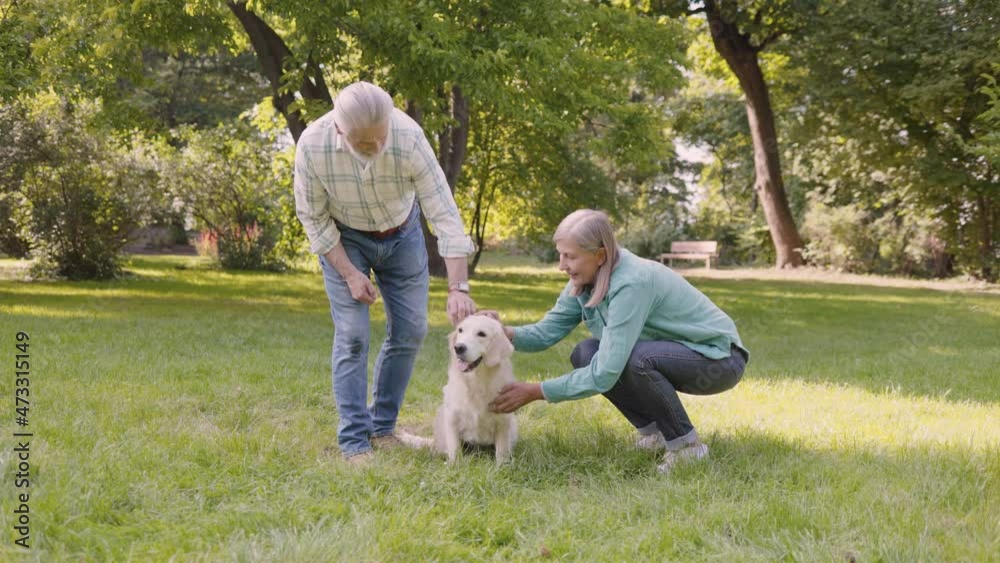 Senior caucasian couple spending time at the grass in summer park, walking their playful golden retriever, and talking. Retirement, american dream concept Senior caucasian couple spending time at the grass in summer park, walking their playful golden retriever, and talking. Retirement, american dream concept