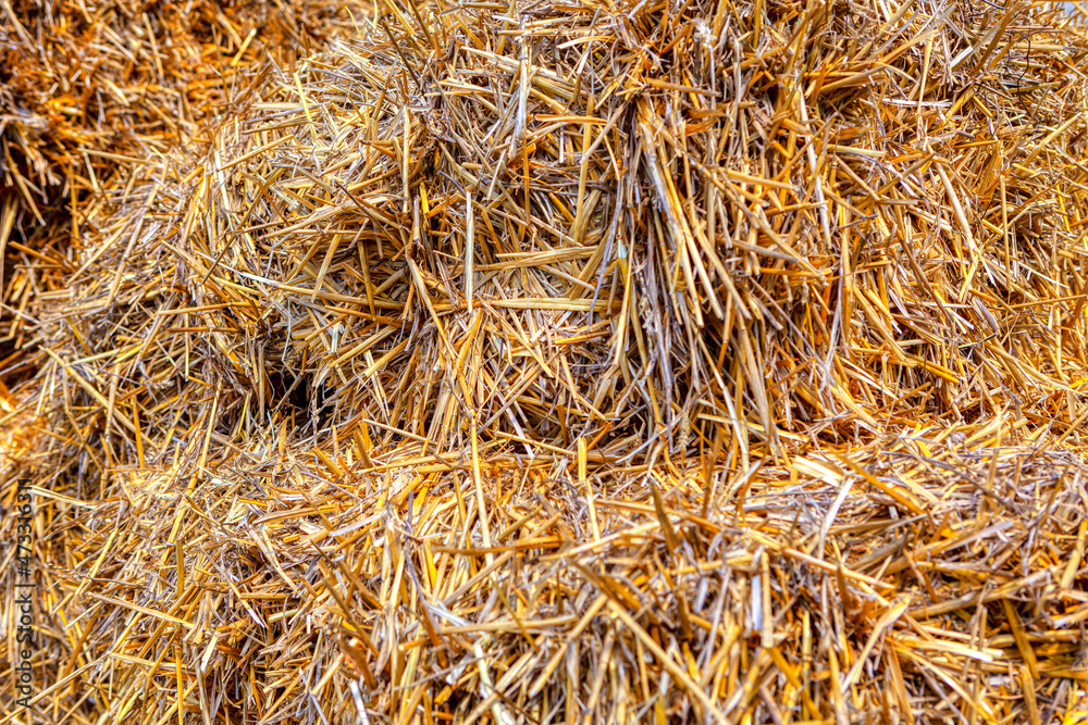 Straw background . Hay for farm animals feeding Straw background . Hay for farm animals feeding