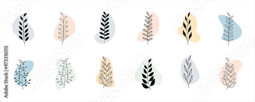 Set of leaves design elements. Frames hand drawn line drawing of abstract floral and tropical plant. Leaves, swirls, ornate, tropical, icon. Vector illustration.