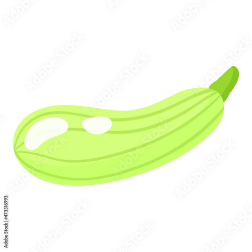 Vector cartoon fresh zucchini vegetable.