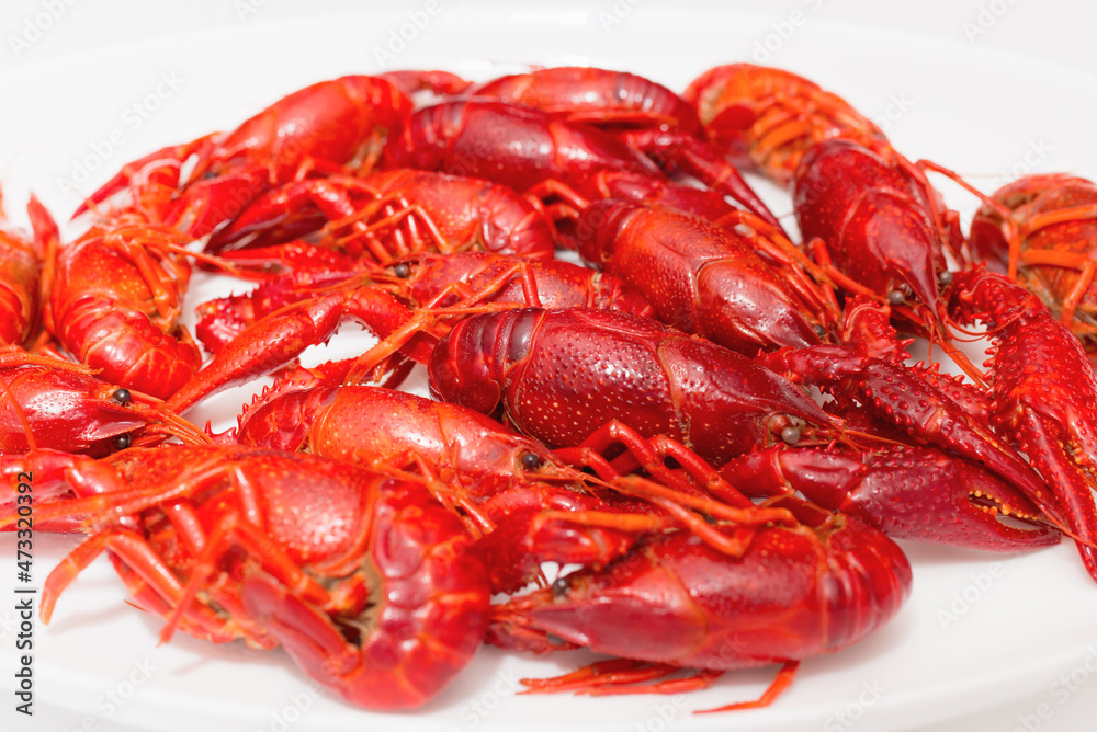A pile of tasty boiled crawfish on a round white plate on a white background. Top view,closeup, copy space. A pile of tasty boiled crawfish on a round white plate on a white background. Top view,closeup, copy space.