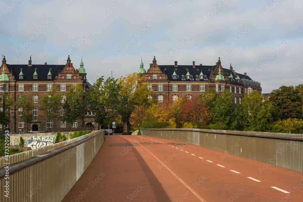 Obraz premium pedestrian bridge in Copenhagen 