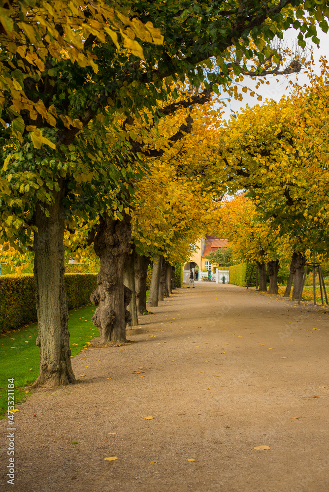 alley in the autumn park 