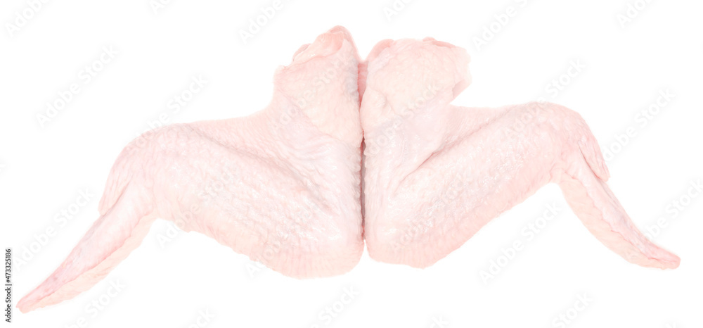 Fototapeta premium Raw chicken wings isolated on white background. bird wings