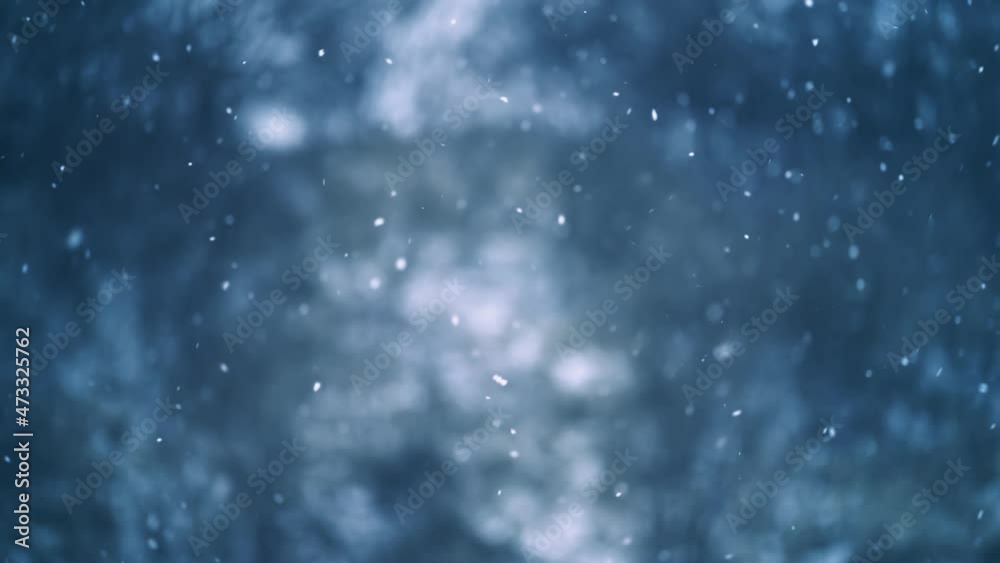 Slow motion of real snow falls on dark forest background, It is snowing in cold winter in peaceful nature