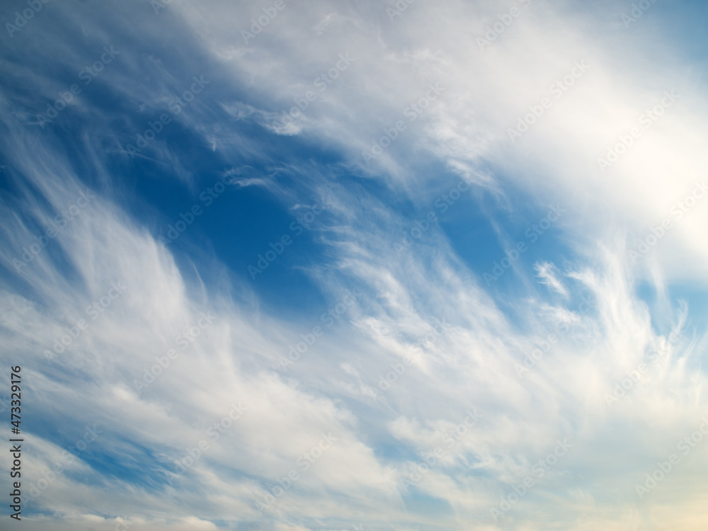 Fototapeta premium cloudy sky daylight.