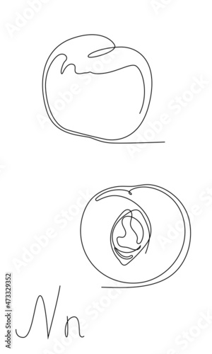 one line continuous peach fruit, isolated nectarine on white background. Sliced in half nectarine. Juicy fruit set.
