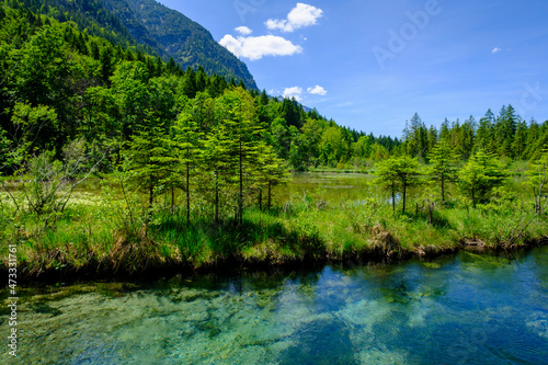 Amper river in summer with forested mountain in background