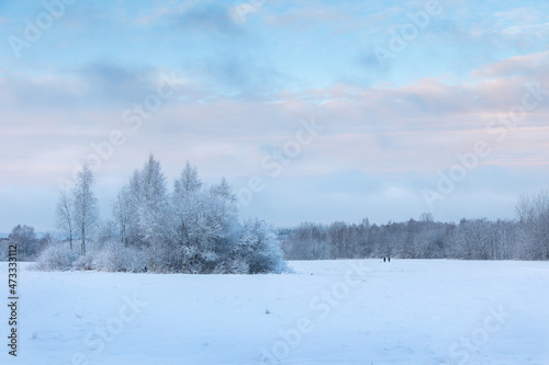 Beautiful winter landscape with field of white snow and forest on horizon on sunny frosty day © lara-sh