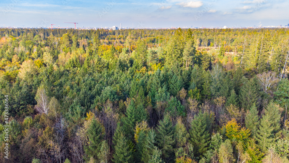 Perlacher forst forest with Munich in the background