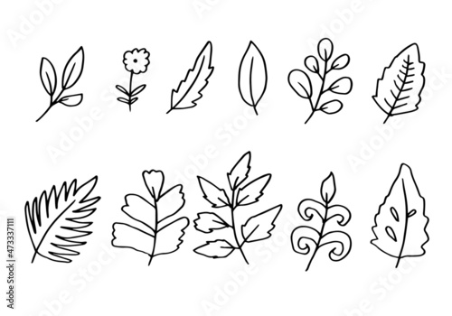 a collection of hand-drawn flower images such as bellflower, chrysanthemums, sunflowers, cotton flowers, and tropical leaves