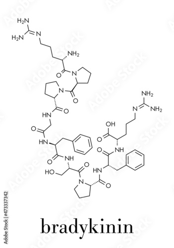 Bradykinin peptide molecule. Skeletal formula.