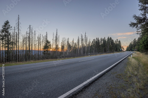 Empty asphalt road in Harz National Park at dusk photo