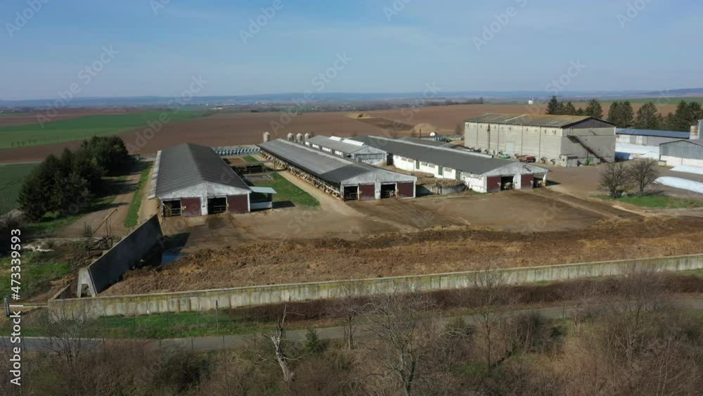 Cowshed dairy cows feeding barn drone aerial video shot, Holstein Friesian cattle breed milk, cow eat corn silage feed, cowshed is a modern and not bricked, Holsteins in North America Cowshed dairy cows feeding barn drone aerial video shot, Holstein Friesian cattle breed milk, cow eat corn silage feed, cowshed is a modern and not bricked, Holsteins in North America