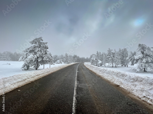 snowy mountain road with fir trees forest
