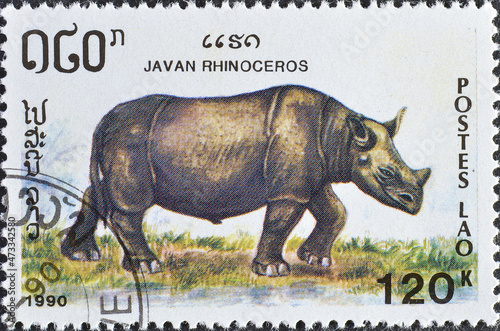 Photography Cancelled postage stamp printed by Laos, that shows Javan Rhinoceros (Rhinoceros sondaicus), circa 1990