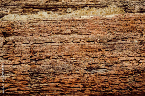 Piękne drewniane tło, brązowa zniszczona tekstura drzewa. 