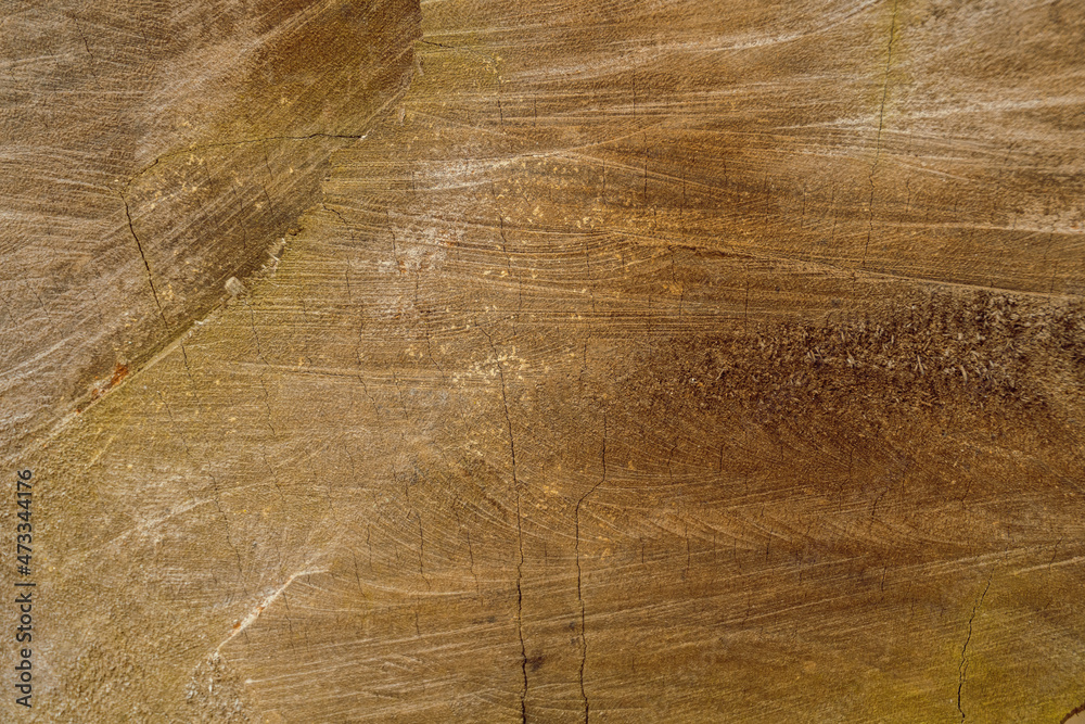 Obraz premium Piękne drewniane tło, brązowa zniszczona tekstura drzewa. 