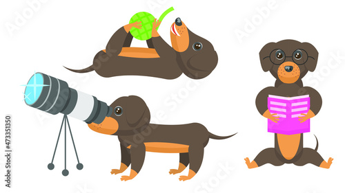 Set Abstract Collection Flat Cartoon Different Animal Dachshunds Dogs Reading Book, Playing With A Ball Of Thread, Watching The Stars Through A Telescope Vector Design Style Elements Fauna Wildlife