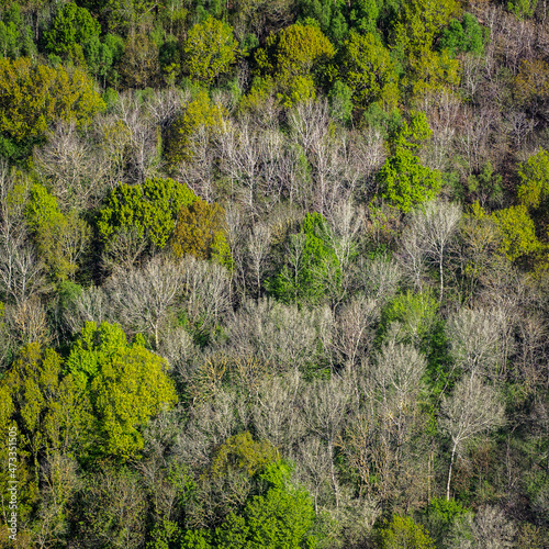 vue aérienne d'une forêt à Juziers dans les Yvelines en France © Francois