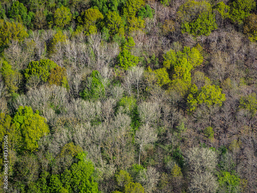 vue aérienne d'une forêt à Juziers dans les Yvelines en France © Francois
