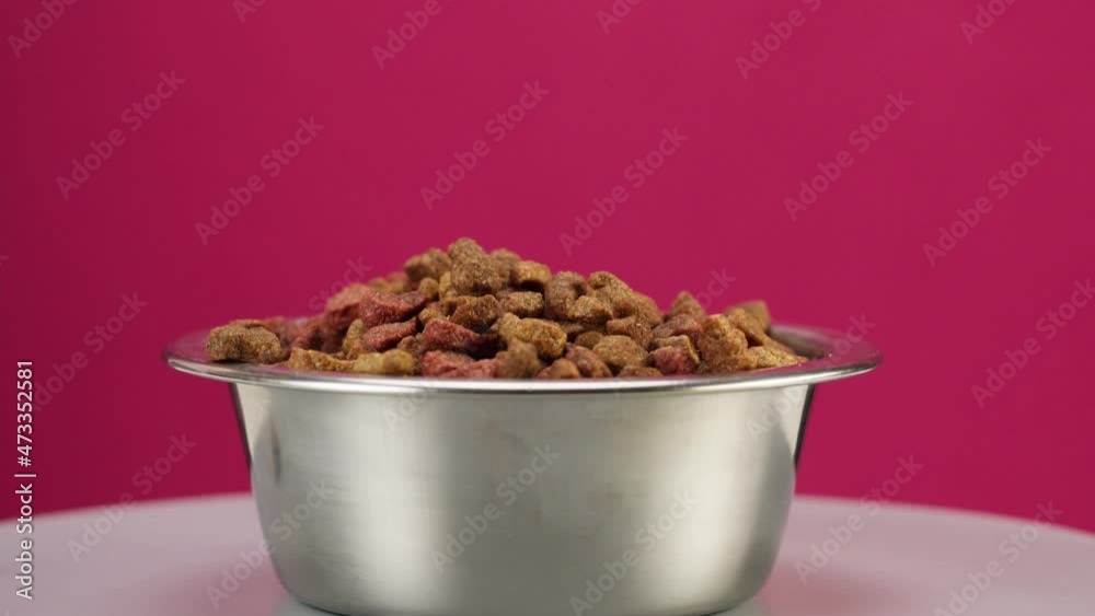 Dried dog food in metal bowl close-up rotating. Granules in dish on pink background. Feeding domestic animals, treats for puppies. Crunchy meal for pedigree cats. Pet shop and delivery. Dried dog food in metal bowl close-up rotating. Granules in dish on pink background. Feeding domestic animals, treats for puppies. Crunchy meal for pedigree cats. Pet shop and delivery.
