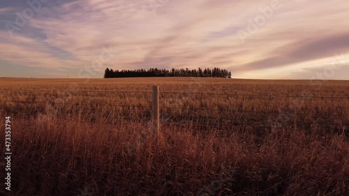 Slow motion panning shot along a barbed wire fence in Rockyview County Alberta Canada. photo