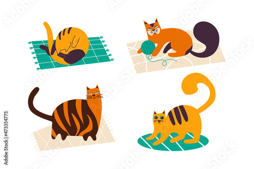 Set of different cats; playing, sleeping, walking. Vector flat illustration with simple kittens