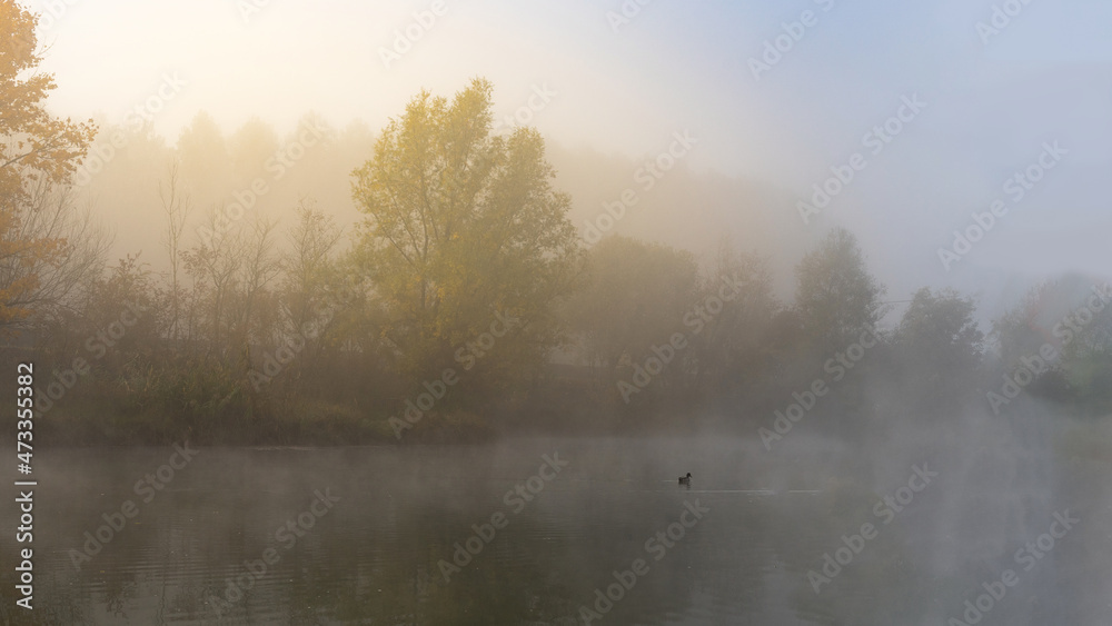 levée de soleil dans la brume 