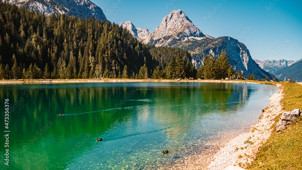Beautiful alpine summer view with reflections in a lake, swimming ducks and mountains in the background at the famous Ehrwalder Alm near Ehrwald, Tyrol, Austria