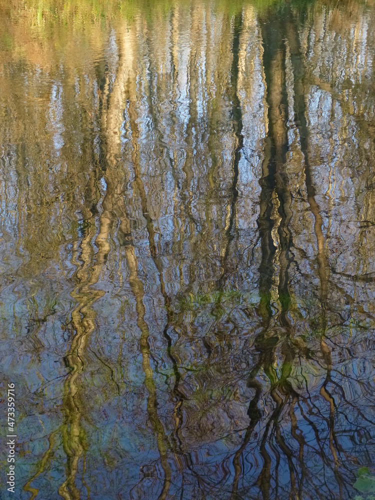 Fototapeta premium Alberi riflessi nel fiume