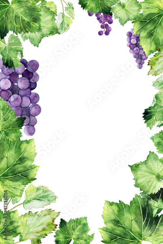 Watercolor frame with grape brushes, branches and leaves of various grape varieties