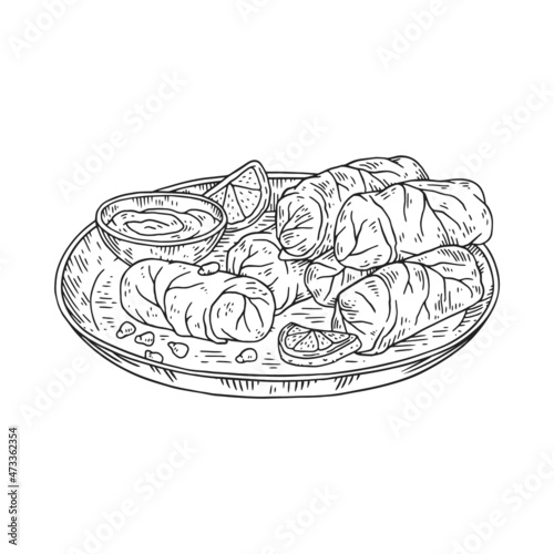 Dolma or dolmades dish with stuffed grape or cabbage leaves, sketch vector illustration isolated on white background. photo